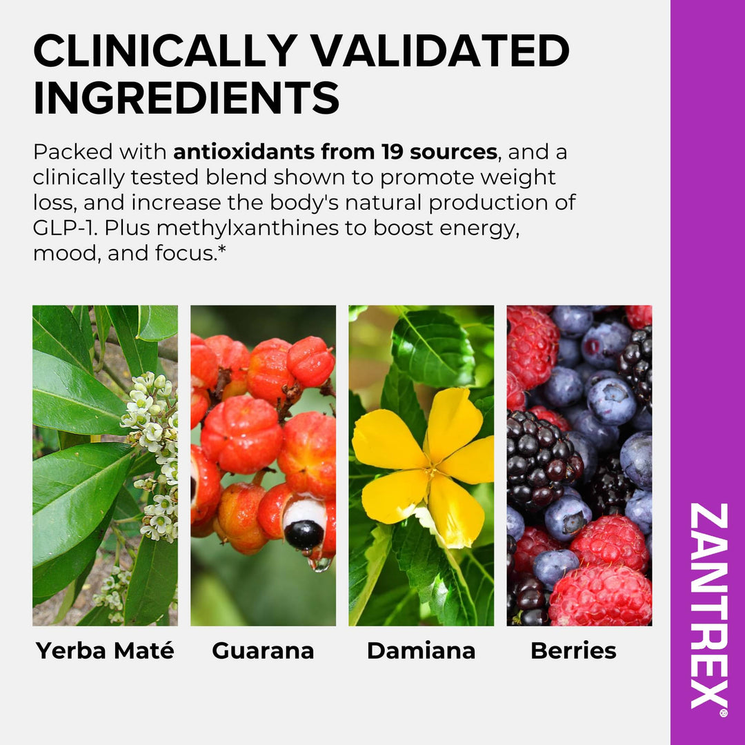 Zantrex product description with images of Yerba Mate, Guarana, Damiana, and Berries on a white background.