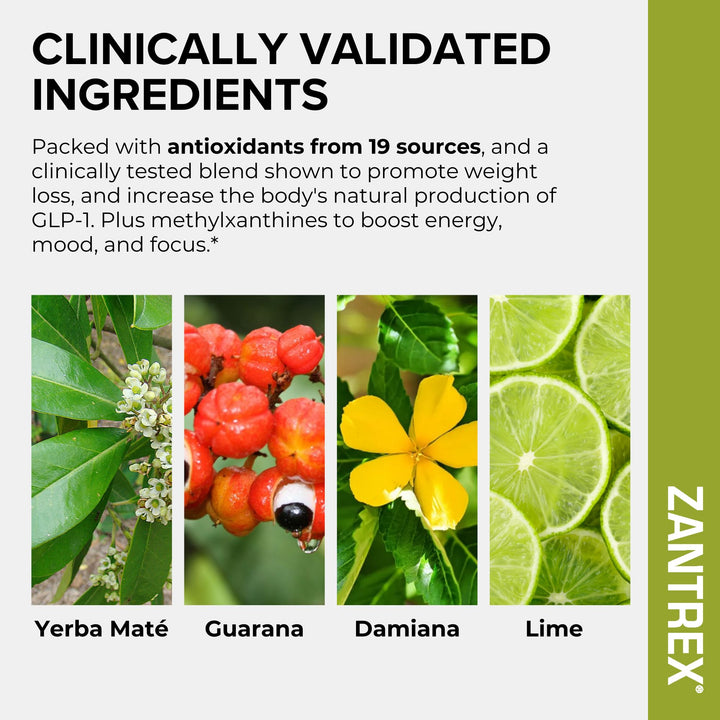 Zantrex product description with images of Yerba Mate, Guarana, Damiana, and Lime, highlighting clinically validated ingredients.