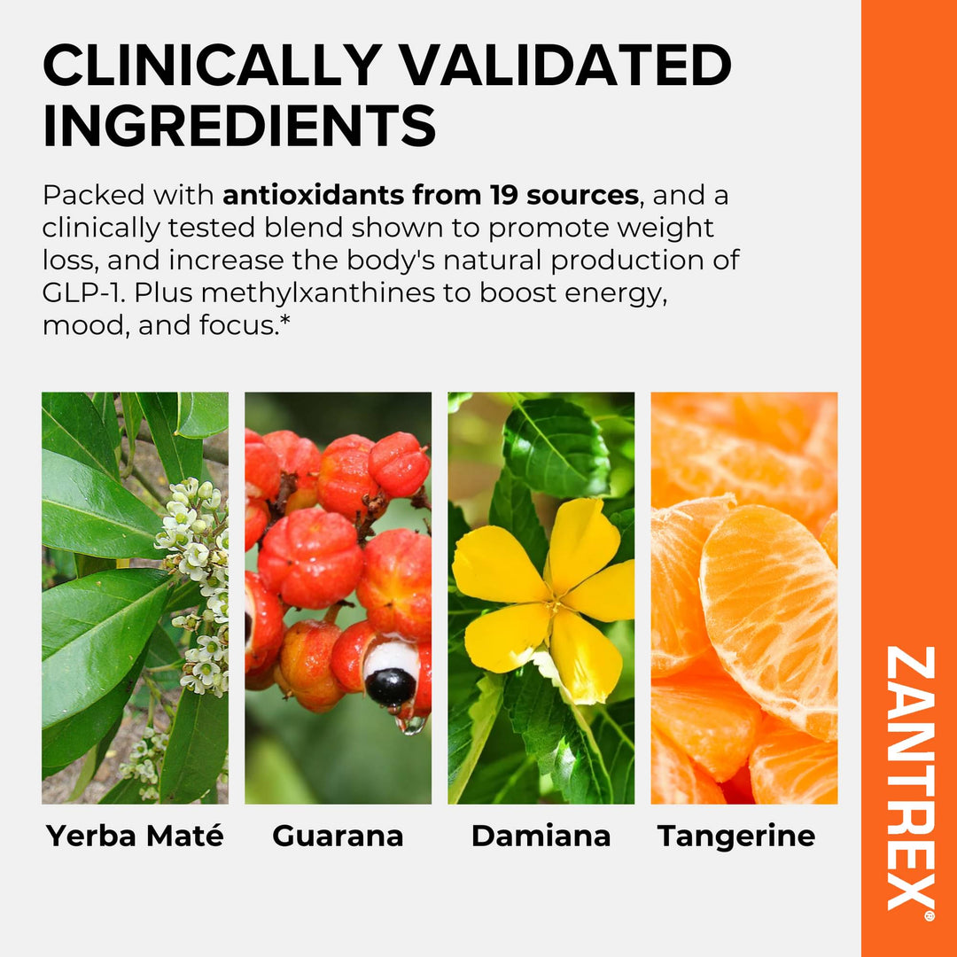 Zantrex supplement packaging with clinically validated ingredients including Yerba Mate, Guarana, Damiana, and Tangerine.