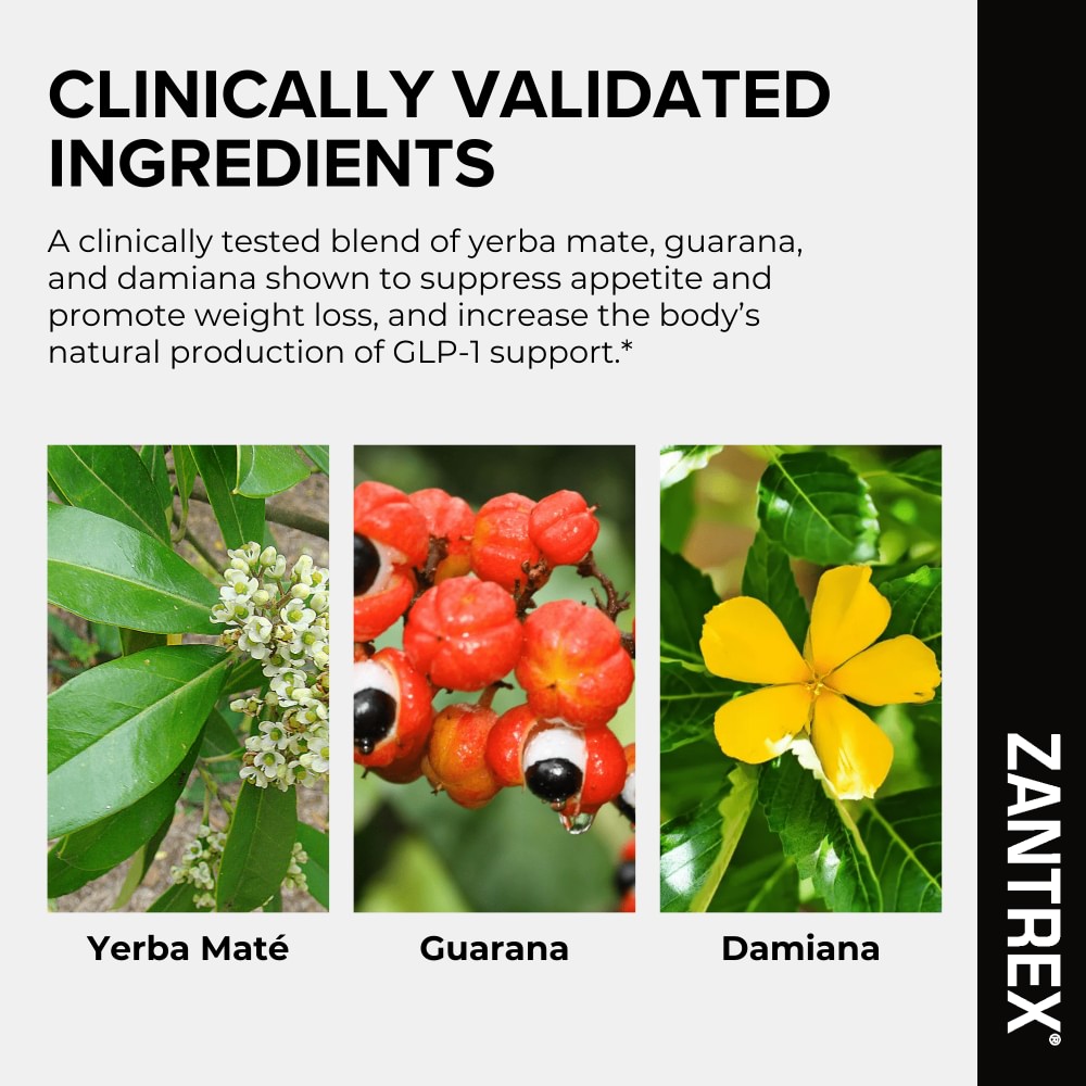Zantrex clinically validated ingredients including yerba mate, guarana, and damiana with images and text.