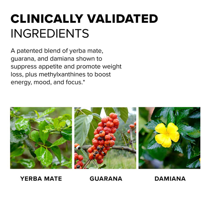 Herbal ingredients