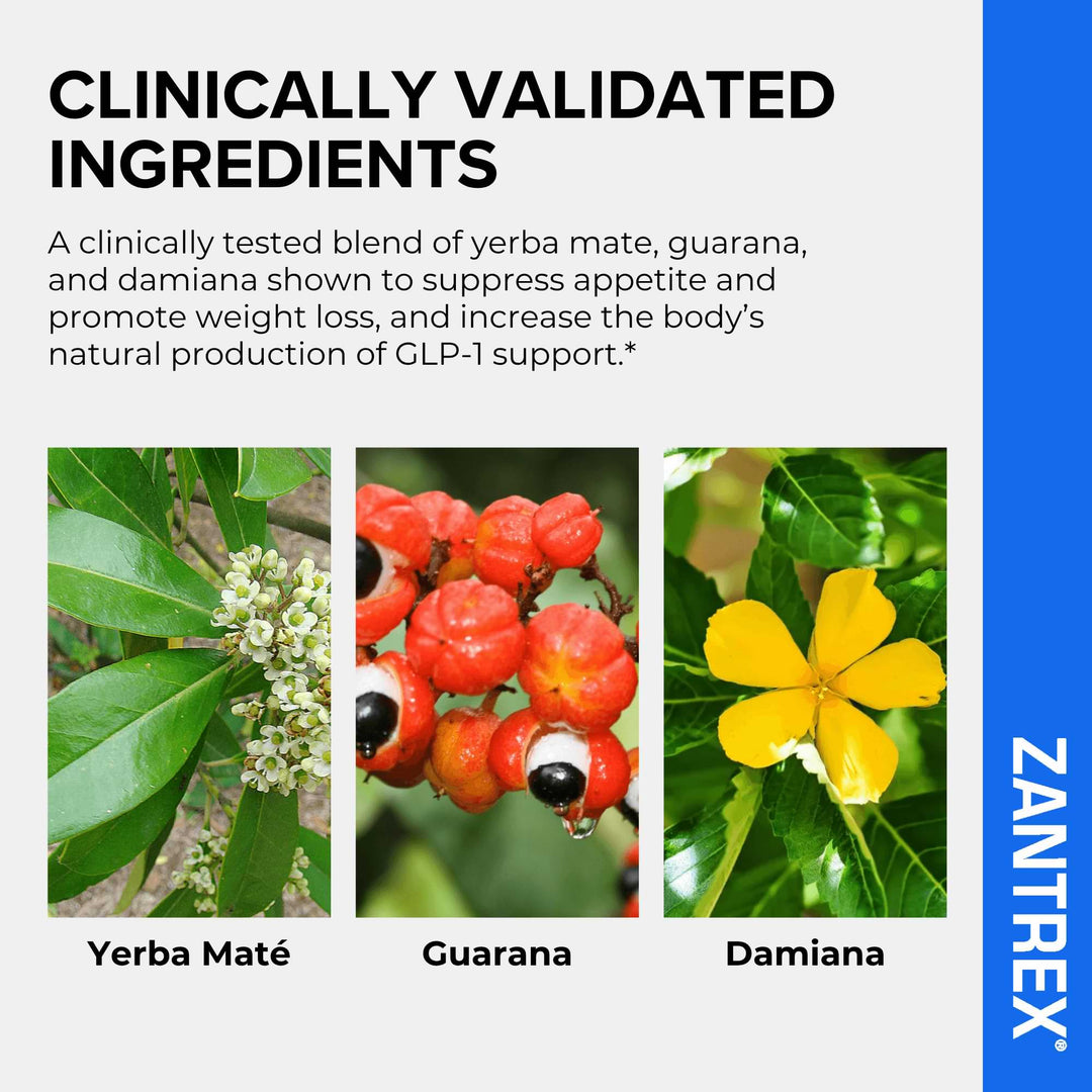 Zantrex clinically validated ingredients including yerba mate, guarana, and damiana with corresponding images and text.